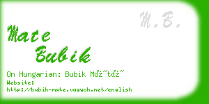 mate bubik business card